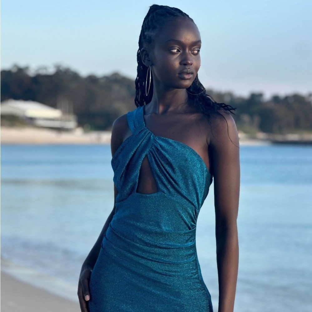 NWT Sonya Moda ACQUAVENA DRESS ✨🐚